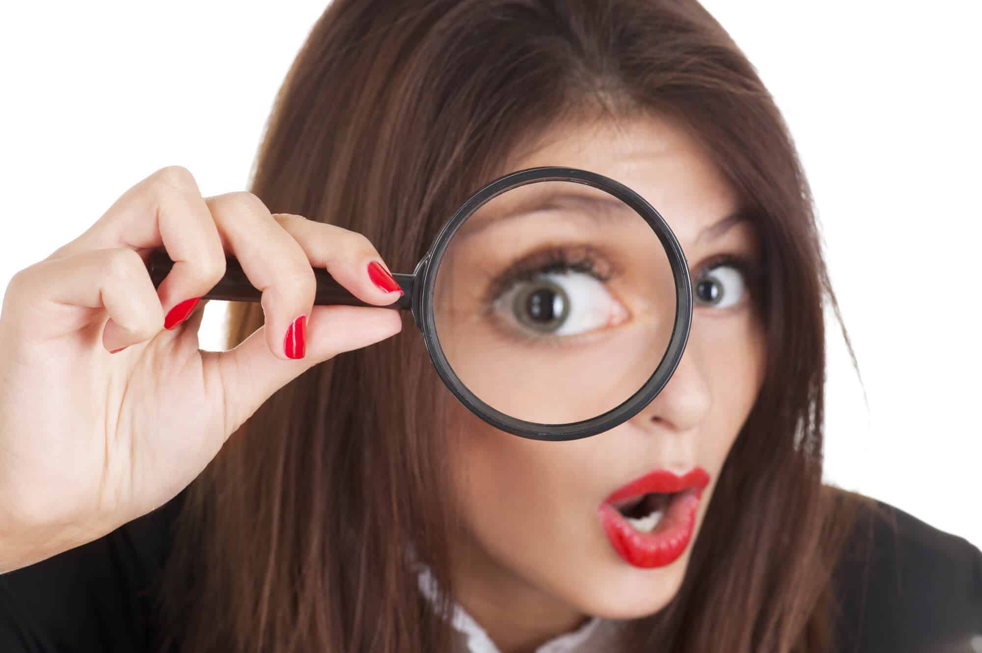 Investigating WordPress Websites