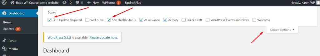 WordPress website dashboard options