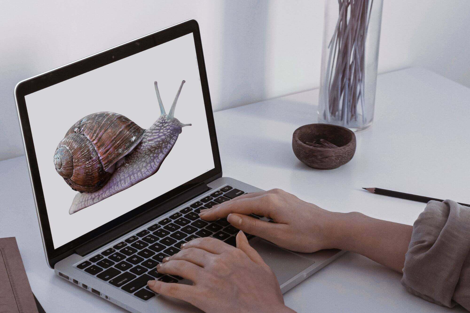 snail on laptop slow website
